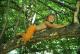 Awatar ecolandia